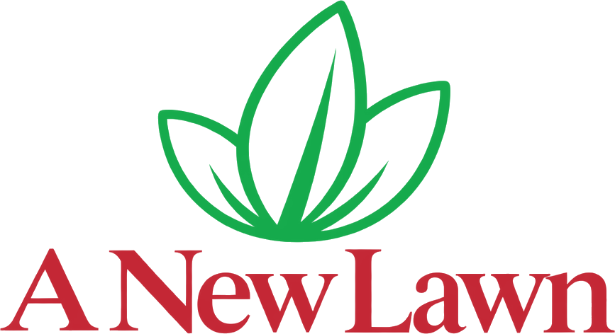 A New Lawn